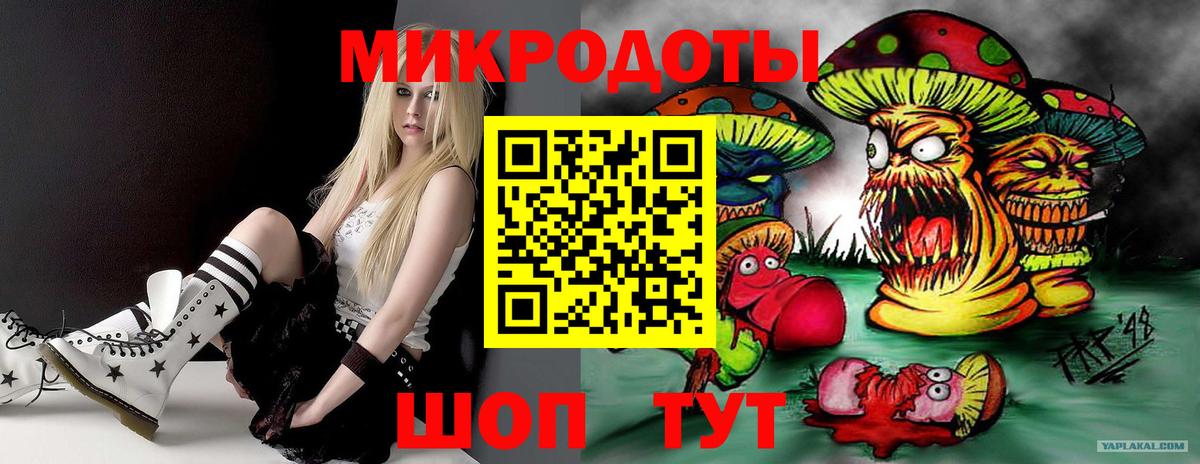 Псилоцибиновые грибы Cubensis Азнакаево